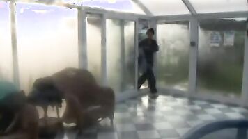 Sucking and blowjob actions in brutal porn videos leave the amateur couple breathless as they watch.