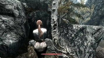 Skyrim Test Video